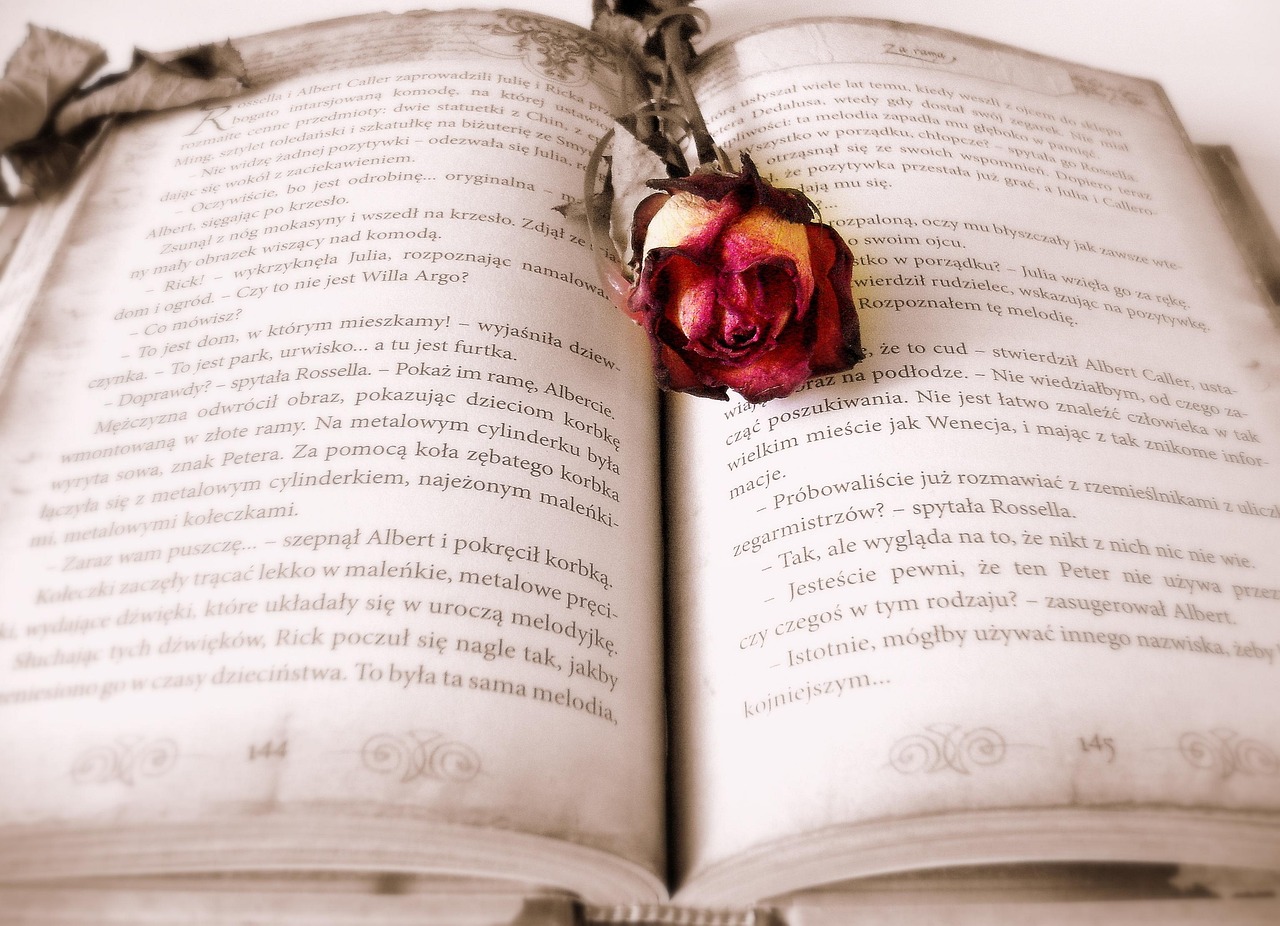 book, rose, book mark, open book, pages, chapter, novel, read, rose flower, literature, reading, bookworm